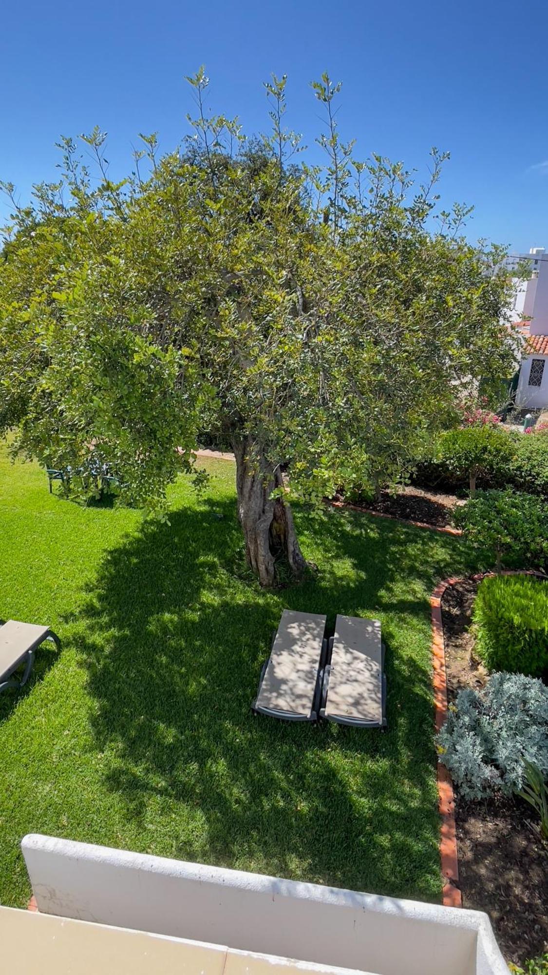 Verde Pino Βιλαμούρα Εξωτερικό φωτογραφία